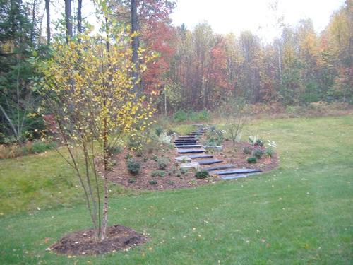 Fall Colors and Stone Steps