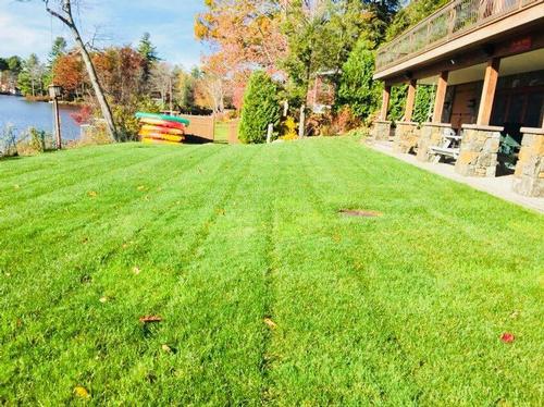 Newly Mown Lawn