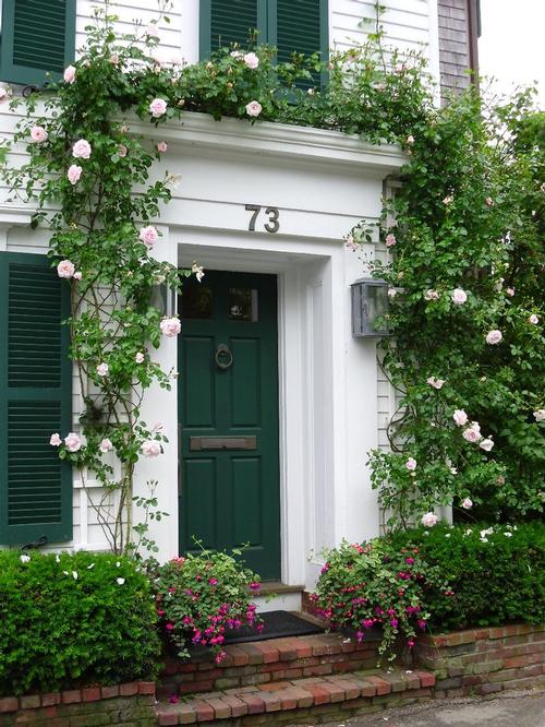 Adorned Doorway